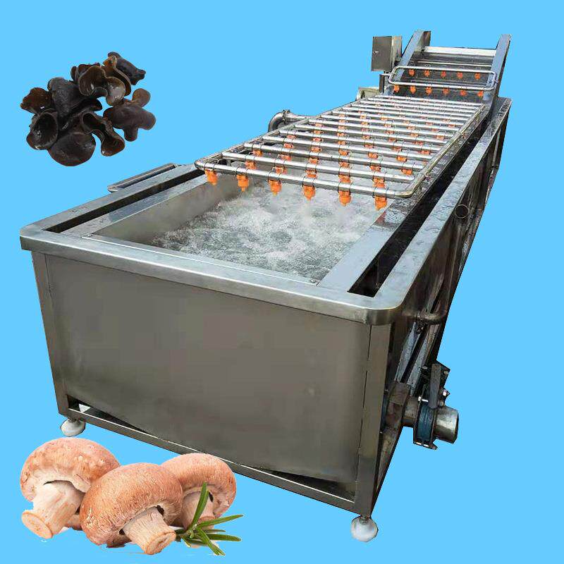 自动菌类蘑菇清洗机 杏鲍菇气泡清洗流水线 香菇木耳清洗设备商用