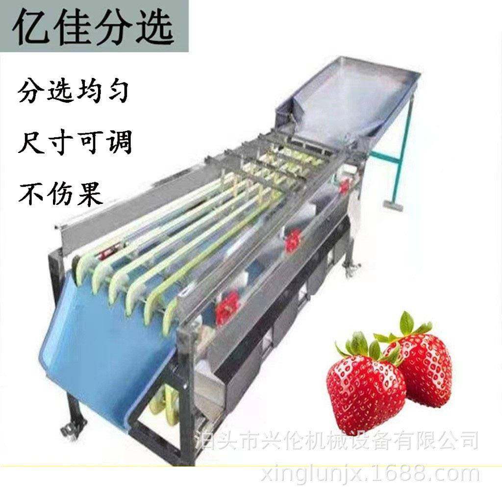 不伤果胭脂梅 莲雾分拣机 金柑金桔分级机 商用皮筋水果分选机,清洗/食品/商业设备,肉制品加工设备,淘宝优惠券,粉丝福利购,淘宝优惠卷