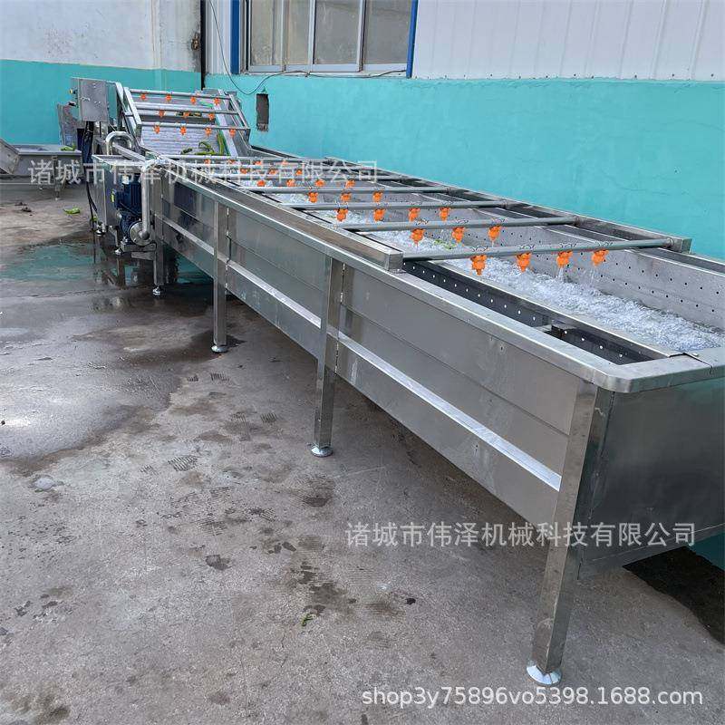 陈皮枸杞去虫去尘去杂清洗设备叶类蔬菜气泡翻滚清洗机果蔬清洗机