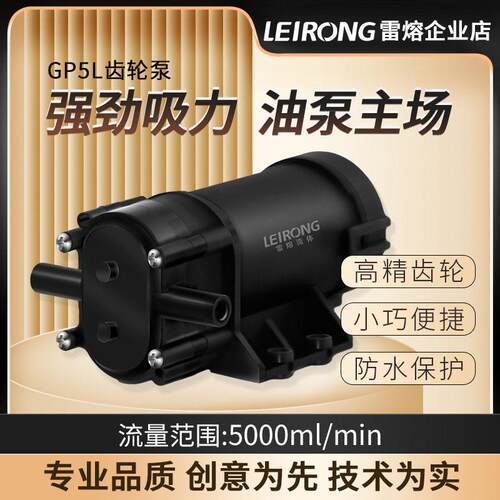 雷熔微小型GP5L有刷防水电机齿轮泵工业灌装机液压抽油12V24伏