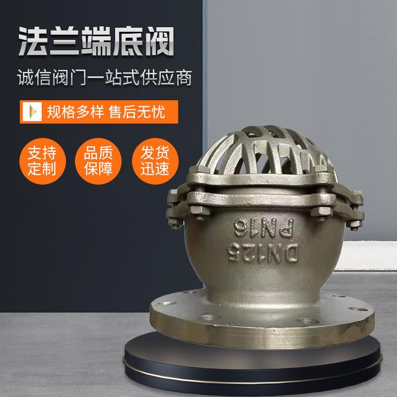 ANSI304CF8法兰端底阀8英寸等级150LBASTMA351带过滤器的铸