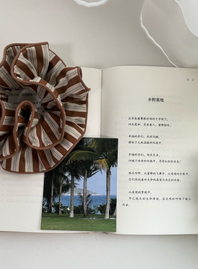 Jinz-韩国进口棕色条纹波点大肠发圈女新款韩系复古清新马尾发绳