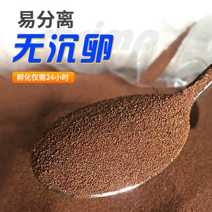 大红卵可孵化丰年虫卵一斤装孵化率高鱼虾苗期开口饲料丰年虾卵