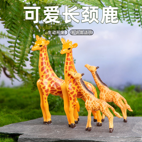 鱼缸微景观苔藓园艺手工材