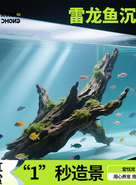 雷龙鱼沉木鱼缸专用造景摆件新型免洗底砂鱼缸木头沉木装饰躲避屋