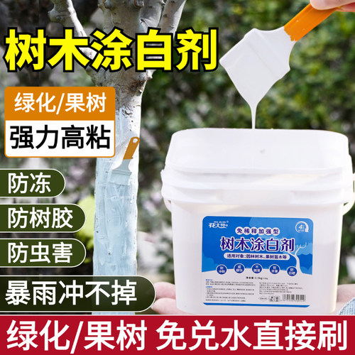 免稀释树木涂白剂树干果树防虫大树柑橘冬季园林防冻树木刷白