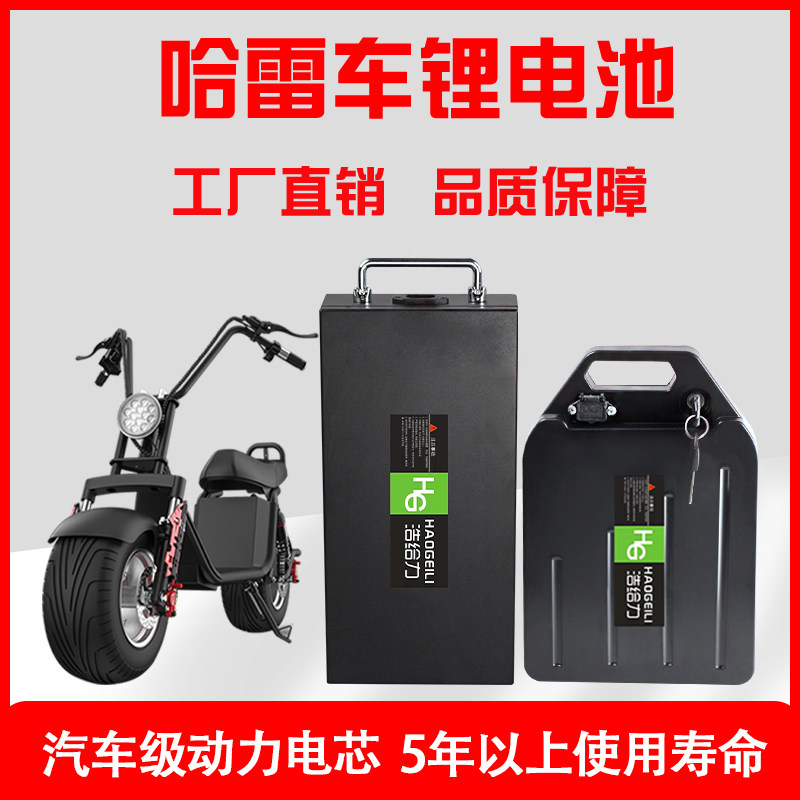 H2H哈雷电动车大容量池5H79拆卸