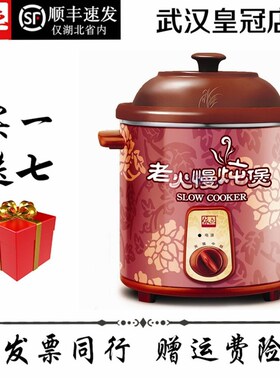 依立电紫容量炖保元汤电养生锅煮汤锅