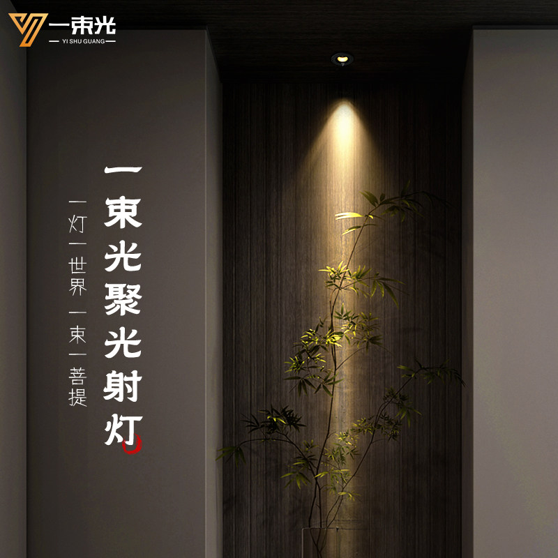 一束光聚光迷你小嵌入式吊顶天客厅酒柜电视墙珠宝店展柜灯