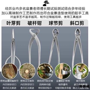 新款便携球节剪球形剪盆景专用工具修剪造型工具盆景树枝剪钳枝剪
