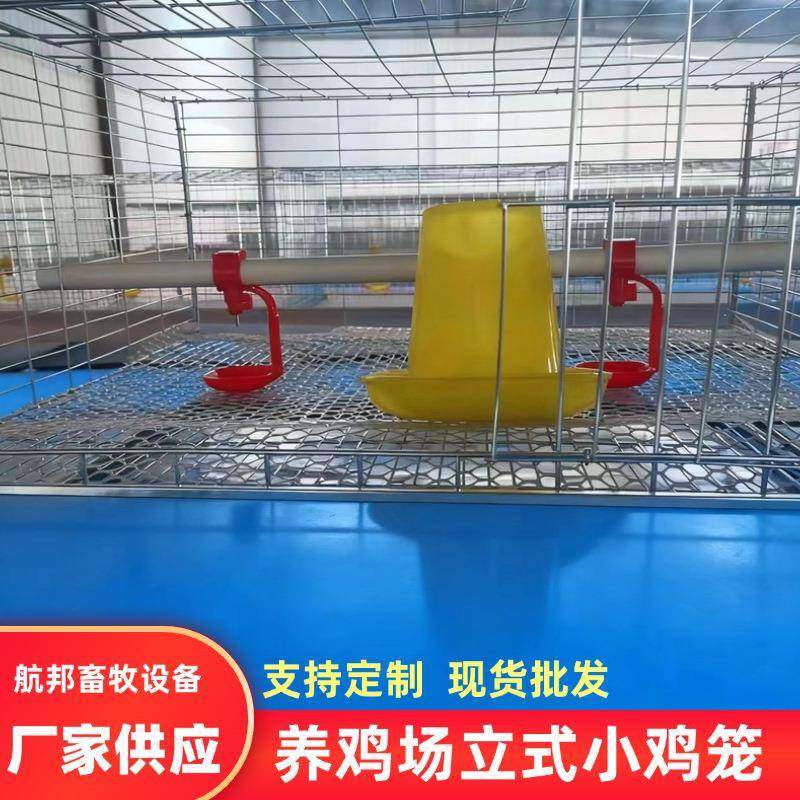 养鸡场小鸡笼厂家立体式左右拉门带水箱镀锌畜牧养殖用饲养设备,畜牧/养殖物资,特种养殖设备,淘宝优惠券,粉丝福利购,淘宝优惠卷