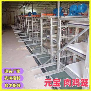 宝型肉鸡笼镀锌鸡笼框架式 全自动元 养鸡设备源头生产厂家