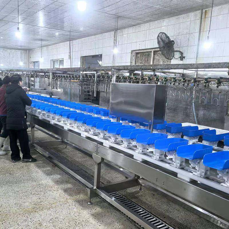 转盘料盒式鸡爪重量分选机牡蛎海鲜配重分选水果自动称重分级机,清洗/食品/商业设备,其他食品加工设备,淘宝优惠券,粉丝福利购,淘宝优惠卷