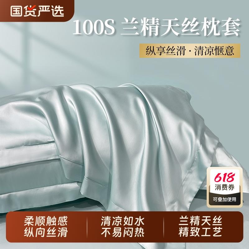 轻奢天丝夏季枕套双面真丝一对装高支冰丝凉整套48x74cm枕头枕套