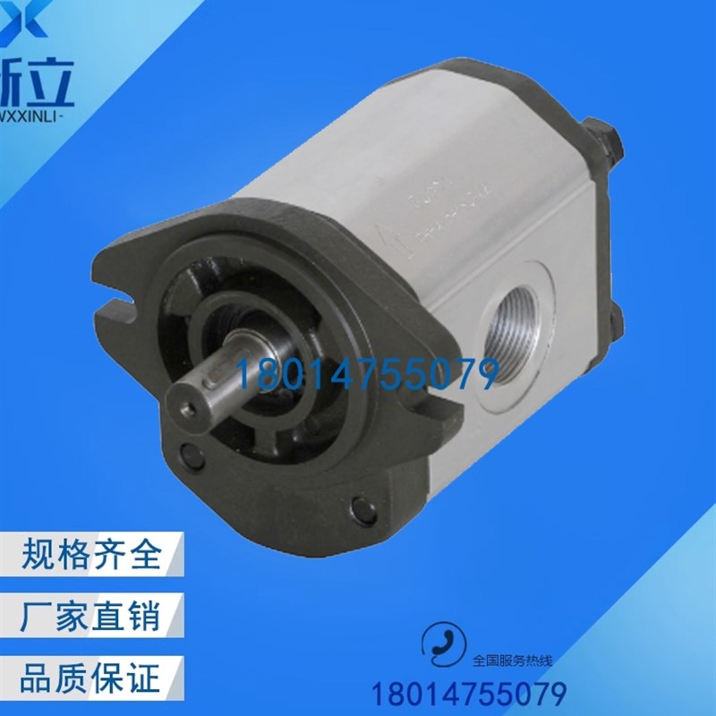 Boden齿轮泵BKP0.5B1D0.38G0L2 BKP0.5B1D0.75/0.50/1.70L2