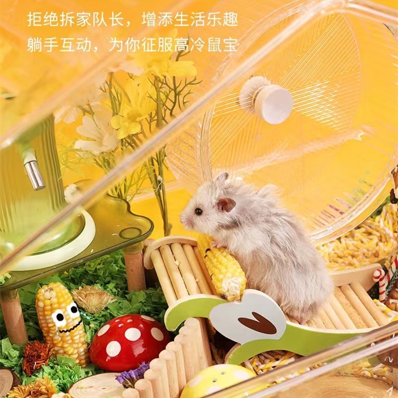 仓鼠玉米磨牙棒零食金丝熊花枝鼠造景迷你小玉米芯棒营养粮食用品