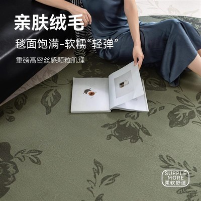 小户型美式客厅地毯2024新款免洗可擦防水防污茶几地垫家用防猫抓