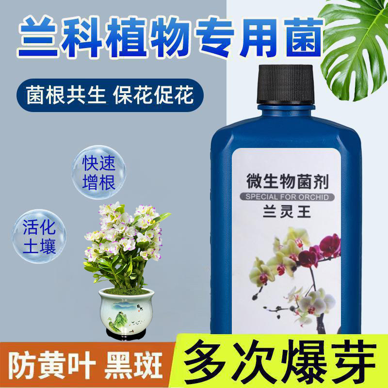 兰灵王兰花通用营养液活菌肥君子兰蝴蝶兰建兰墨兰生根催芽有机肥