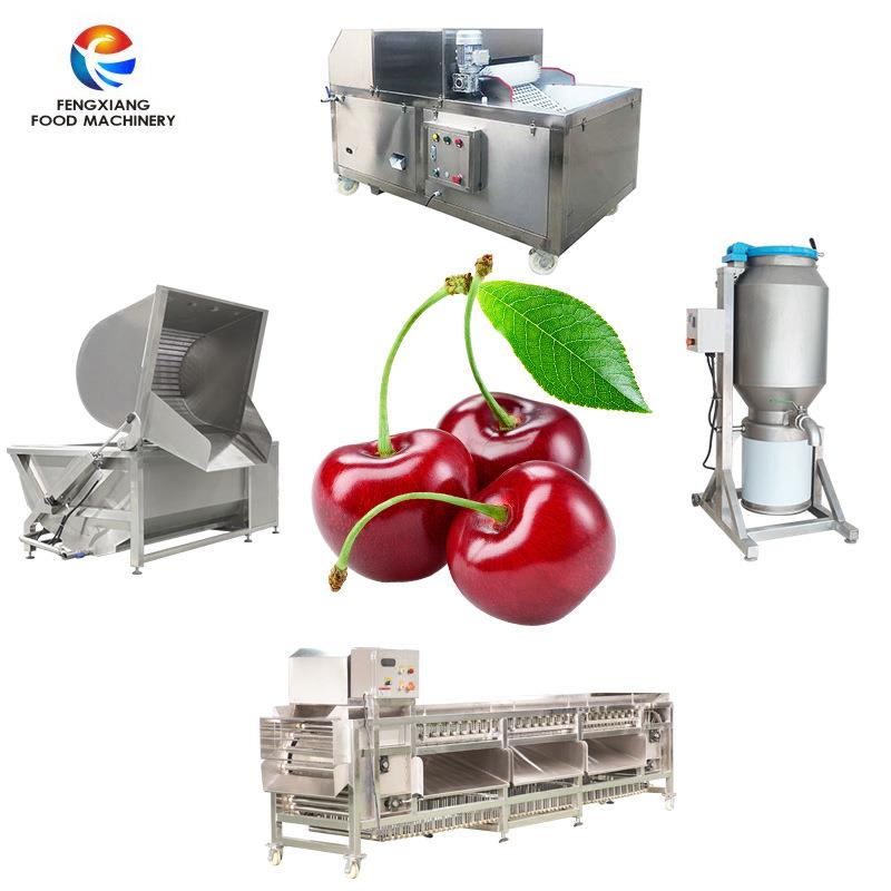 全自动不锈钢樱桃去核机除籽小樱桃车厘子去核高产量