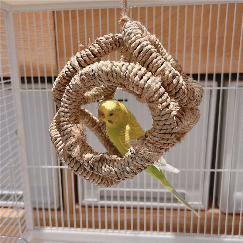 天然鹦鹉草编吊环秋千牡丹虎皮玄凤攀爬健身玩具中小型鸟解闷用品,宠物/宠物食品及用品,鸟玩具,淘宝优惠券,粉丝福利购,淘宝优惠卷