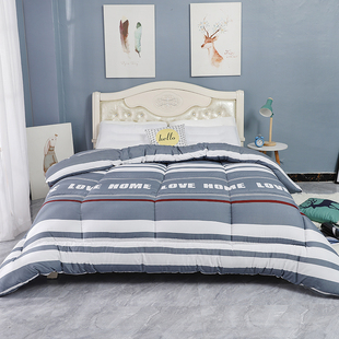 冬被加厚保暖丝绵被芯太空被子5斤6斤8斤单人双人学生宿舍棉被子