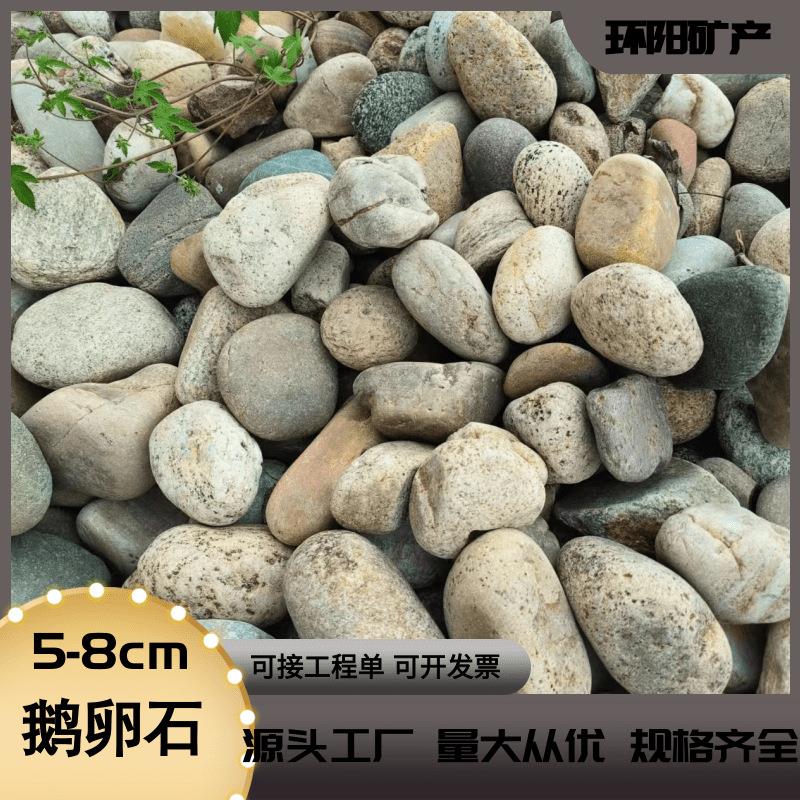 5-8厘米鹅卵石水处理 庭院造景 变电站鹅卵石