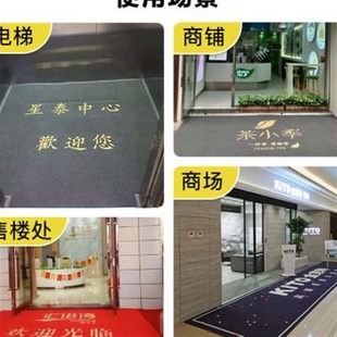 塑料PVC丝f圈电梯地垫轿厢迎宾地毯耐磨防滑防水商用图案定制logo