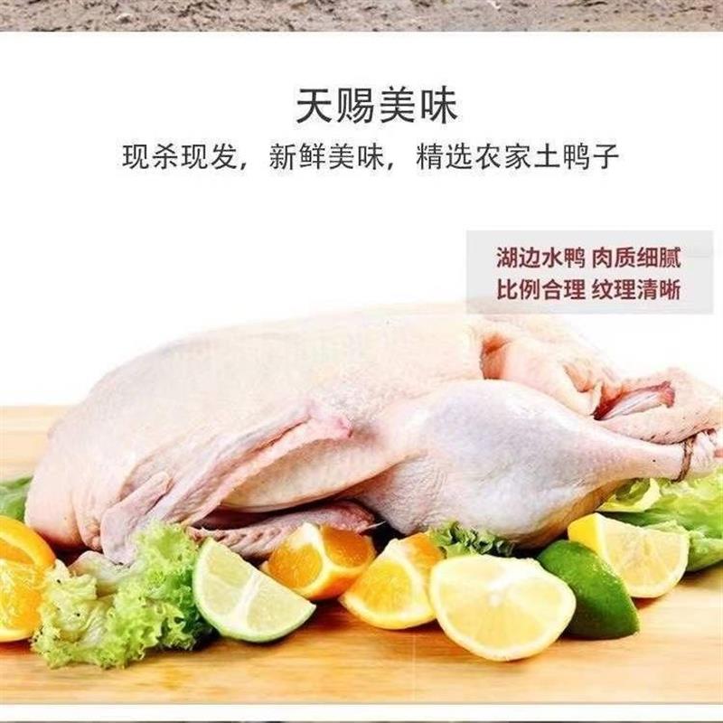 极速杀后2斤一只农家散养
