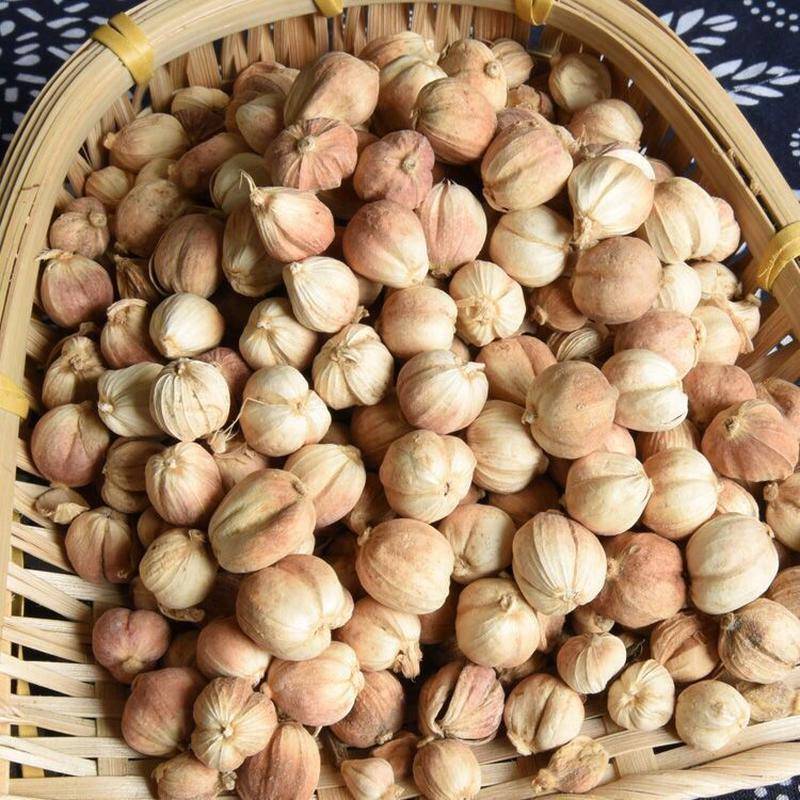 精选纯正白豆蔻白豆扣白扣白寇包邮家用食用无硫白扣仁白扣粉香料