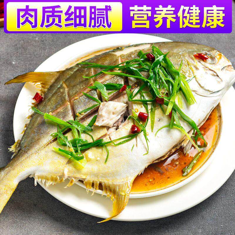极速特大号新鲜金鲳鱼金昌鱼鲳鱼冷冻500g深海鱼海鲜