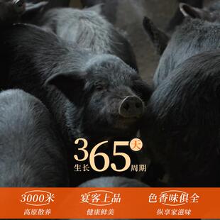 速发藏香猪肉新鲜五花肉正宗黑猪肉土猪肉西藏林芝排骨梅花肉散养