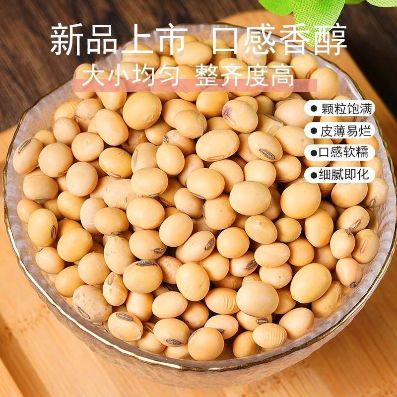 农家自种笨椭圆黄豆500g土大豆长粒肾型酱豆豆浆原料老品种可发芽