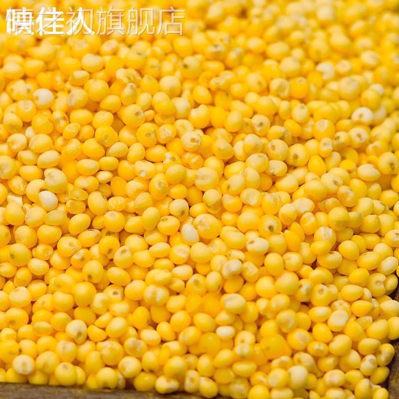 农家新大黄米 新米粘黏黄糯米粘豆包粽子软糯小米江米糜子粗粮
