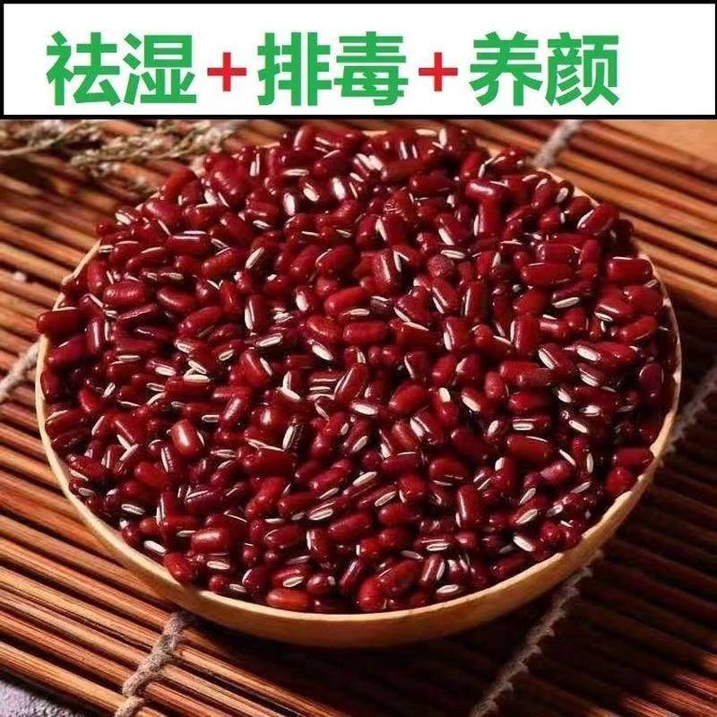 当年新货赤小豆东北长粒新货五谷杂粮红豆薏米粥家用粗粮