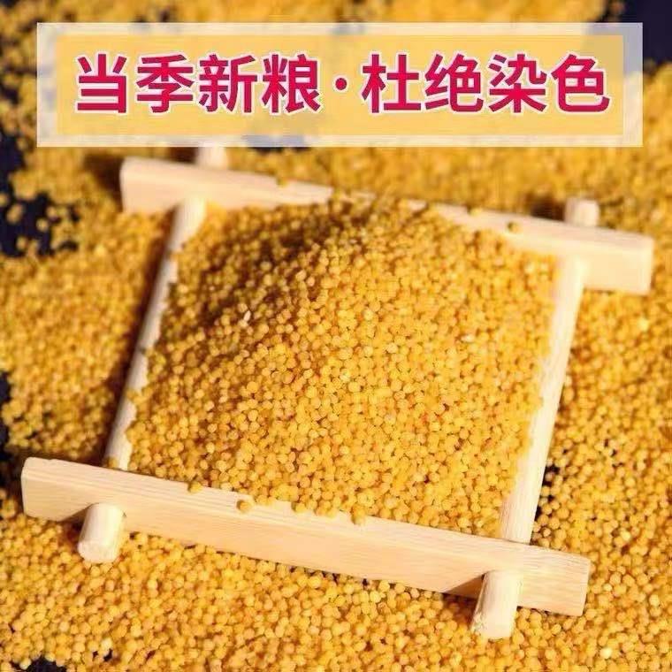 农家黄小米新米月子米五谷杂粮小米粥粗粮小黄米1斤包邮山西小米
