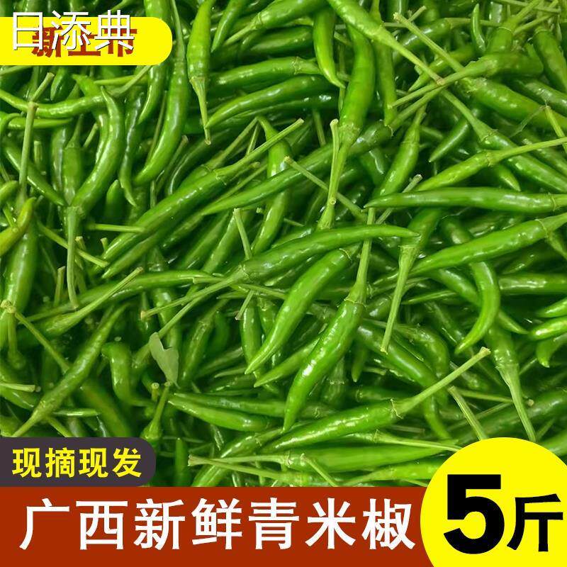 新鲜青米椒广西青辣椒特辣