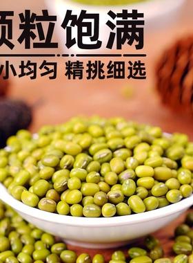 速发绿豆西米露官方旗舰店奶茶店专用正宗纯正白小大颗粒商用家用