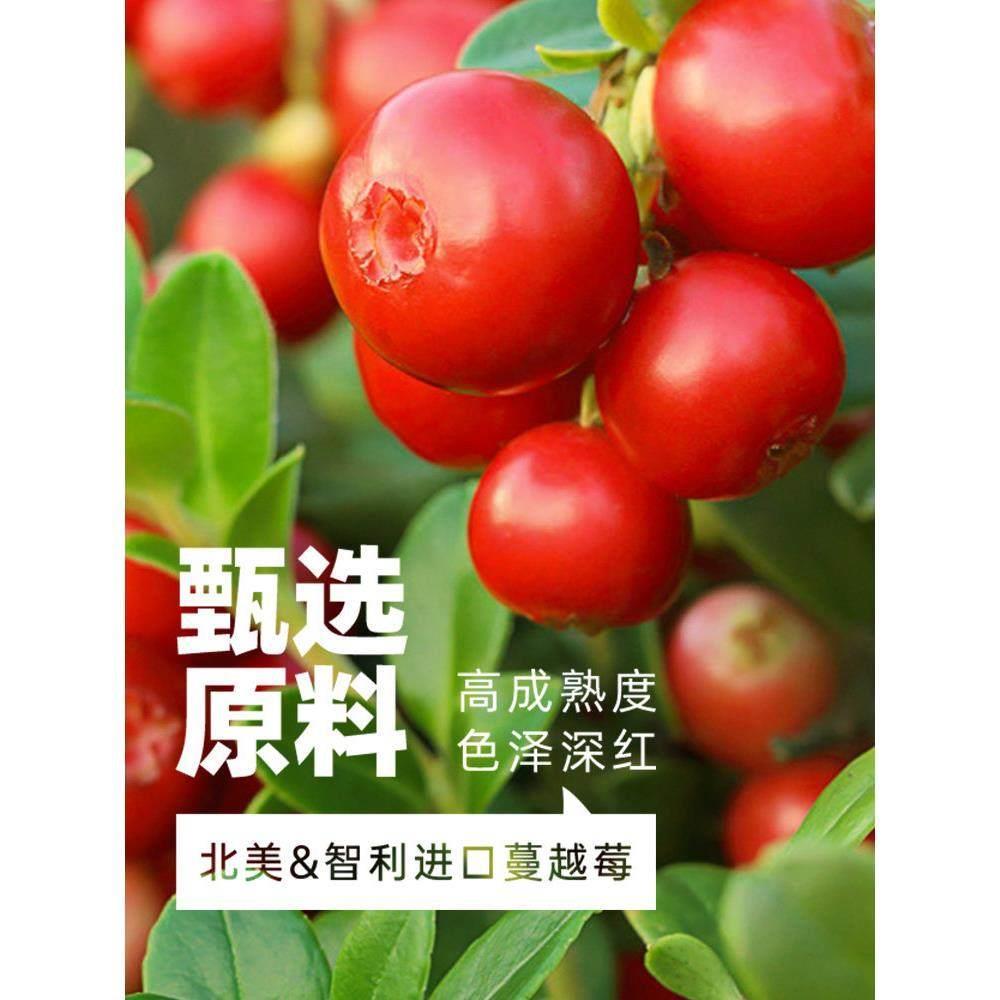 展艺蔓越莓干500g曲奇饼乾雪花酥牛轧糖零食果乾烘培专用原材料商