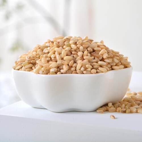 新米熟糙米低温烘焙炒熟糙大米家用商用打豆浆磨粉五谷杂粮粥饭米