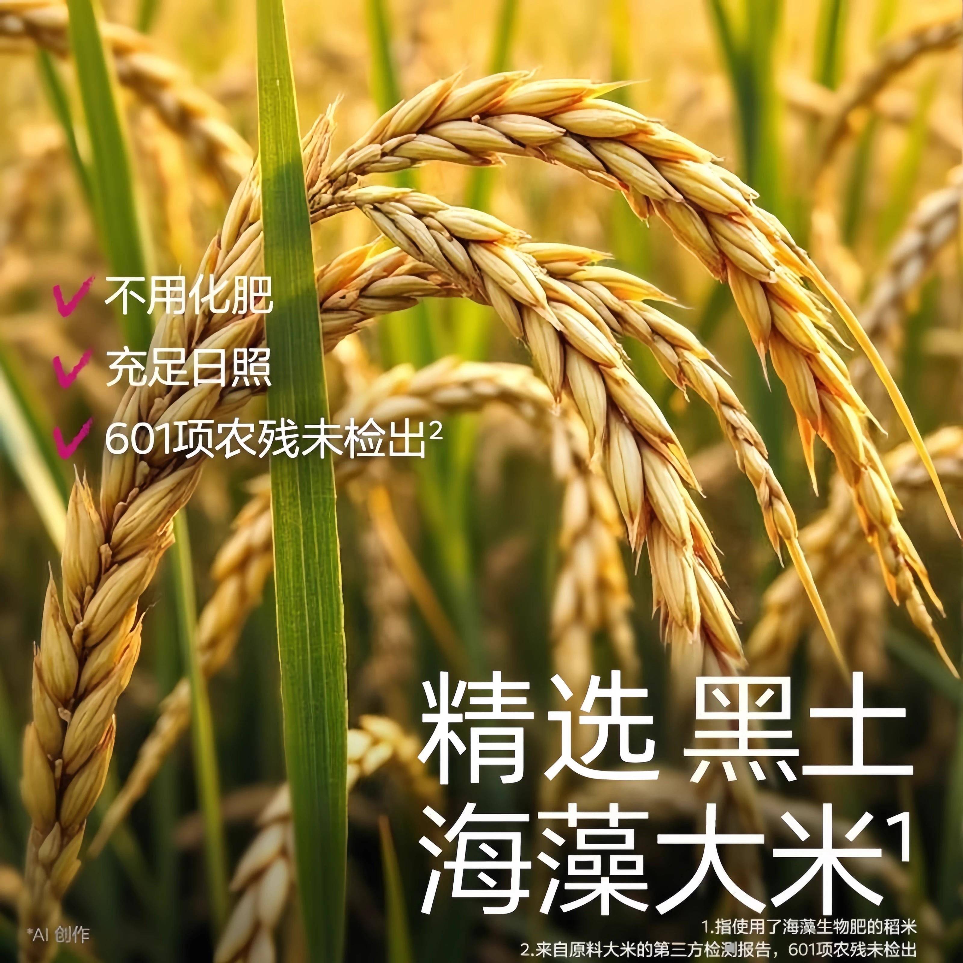 马来西亚风味奶素海苔米饼办公室休闲零食咸味米饼独立袋装384克