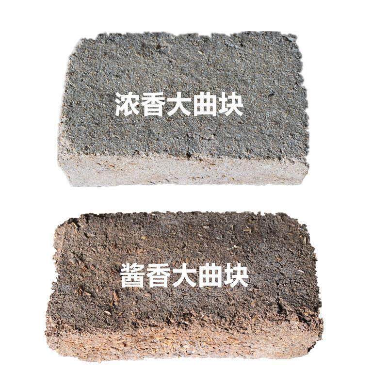 大曲酒曲传统熟料酿酒酵母