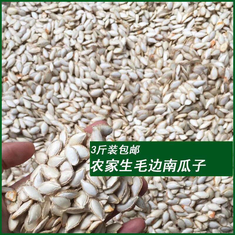 新货老品种毛边生南瓜子农