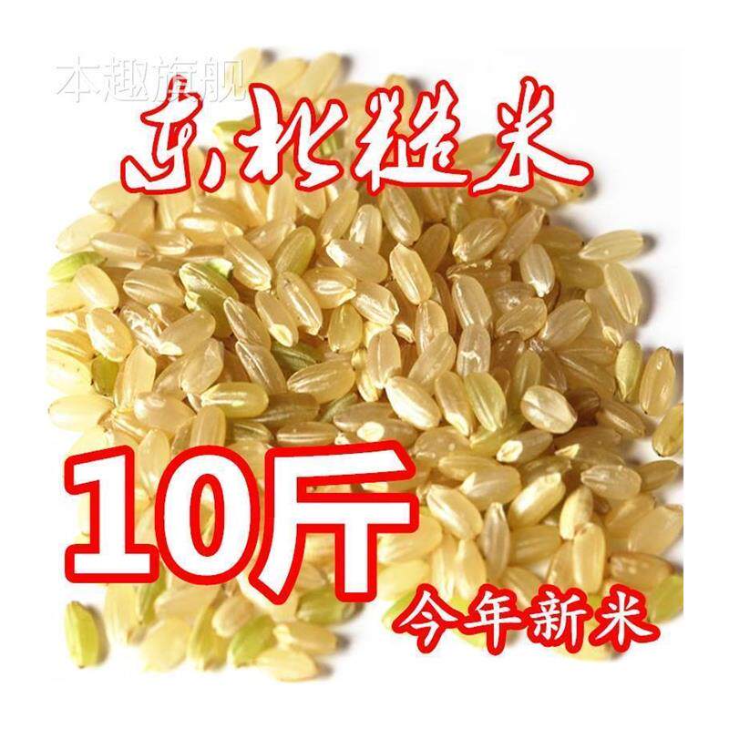 东北糙米新米5斤/10斤玄米