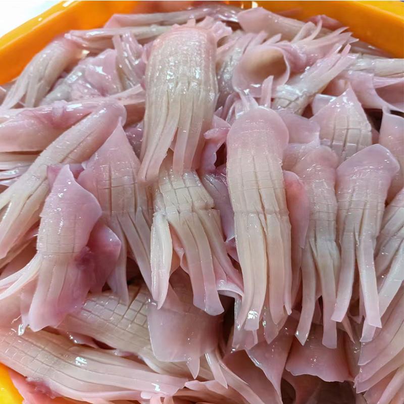 速发火箭鱿鱼商用鱿鱼须火