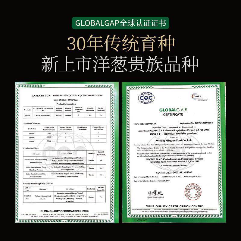 包邮白玉水果洋葱生吃脆甜多汁不辣眼睛生食新品