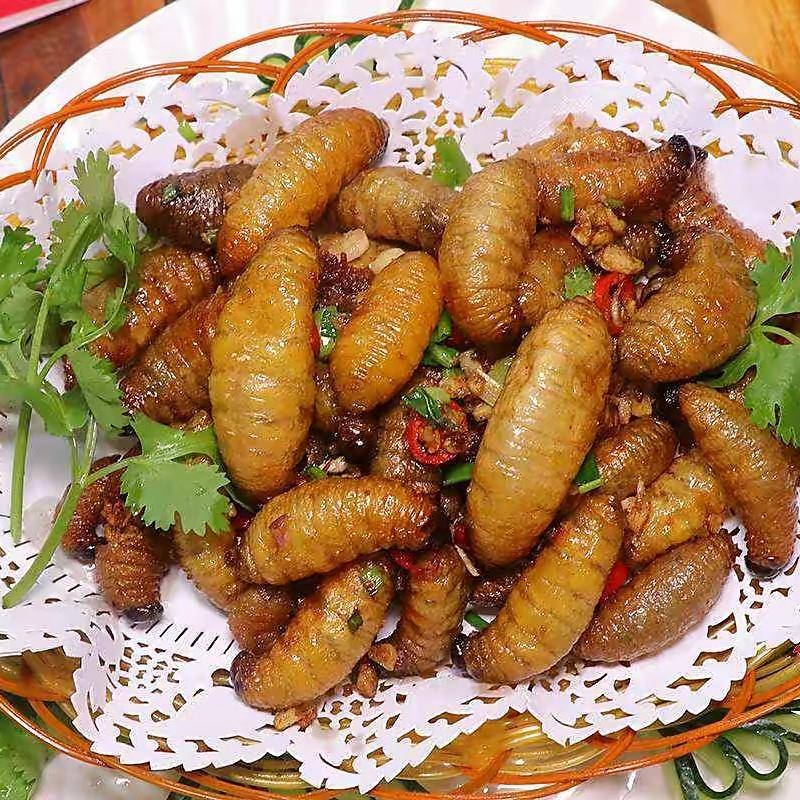 新品3斤鲜活竹虫活体速冻 竹笋虫 竹象虫新鲜椰子虫竹蛹食用油炸