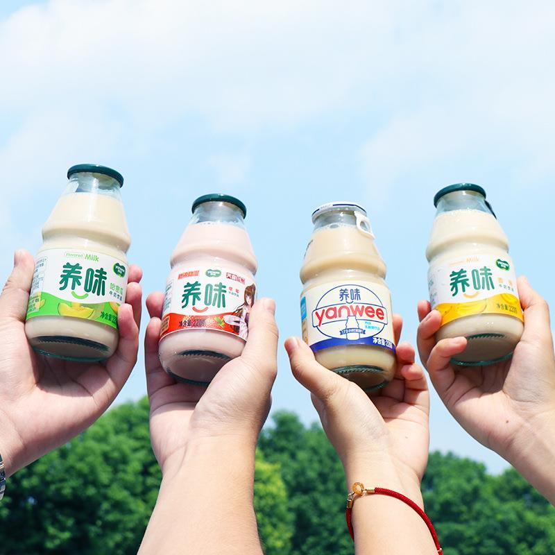 养味牛奶饮品220g*24瓶乳酸菌芒果草莓香蕉整箱15瓶学生早餐奶饮