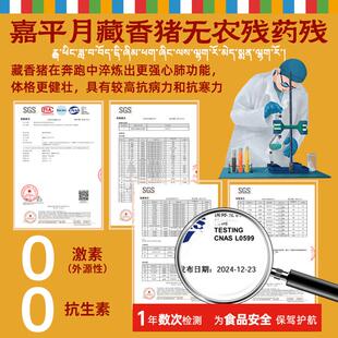 速发藏香猪肉新鲜五花肉黑猪肉正宗土猪肉排骨梅花西藏林芝农家散