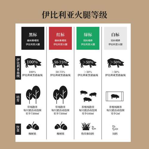 极速西班牙伊比利亚火腿白
