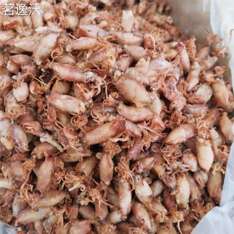 海兔干500g乌贼干笔管鱼干